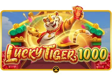 bet 559